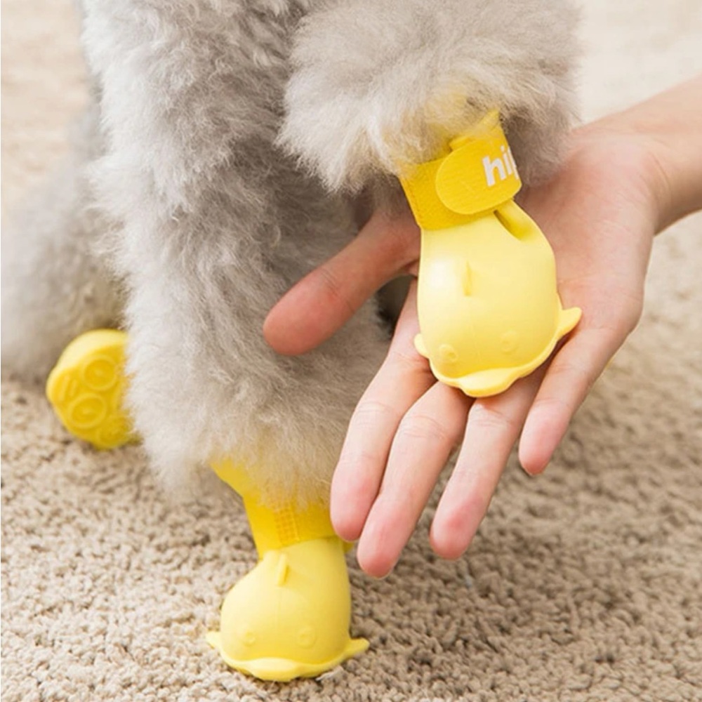 Dog Rain Boots ☔️🌧️🐶🐕NWOT